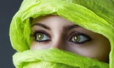 霍叶姓名评分99分