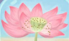 A型血的人交往禁忌