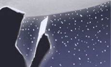 2015年金牛座终结孤单应该怎么做?