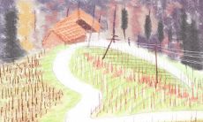 金牛座女生谁是粘人大王?