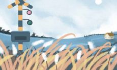 惹怒A型血男友 不用方