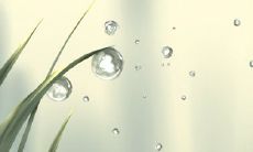 当男朋友把天聊死时属羊女的反应