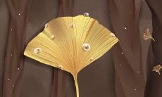 好好学生,属羊会因为什么被记过