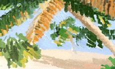 十二星座女生在恋爱中必犯的错误