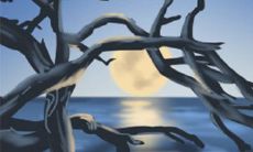 麦玲玲2017年属羊人的运势详解大全