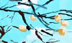 属羊他们都是怎么约啪的?