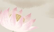 白羊男惨遭女友戴绿帽的反应