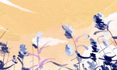 处女座女生碰到喜欢的男生有什么举动