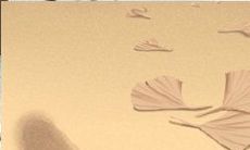 狮子座的怀旧指数