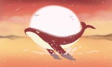 星座解析:该如何拯救上升处女的玻璃心