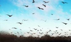 时辰吉凶:2015年4月11日吉凶吉日查询