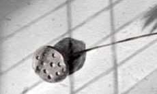 2014年七月合帐吉日查询