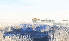 属猪女嫁给什么样的男生会偷着乐