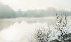 今年不好运气的女生肖 为什么有些女人运气好