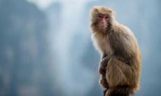 1992年属猴女2022年运势及运程详解