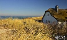 2022年最差生肖 运势最差的生肖有哪些