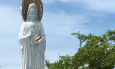 1993年农历九月生人命理 1993年属鸡人几月最好命