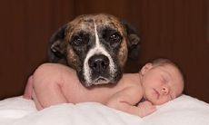 七夕节是什么时候?2020年七夕节出生的宝宝乳名取名