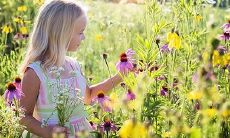 2020七夕出生宝宝喜用神是什么?七夕出生的宝宝八字起名