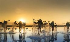 属龙2021.12.8运势 心思都在工作上