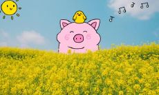 属鸡供不动明王好吗 属鸡的吉祥物摆件