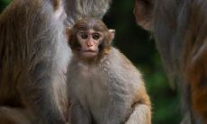 属猴2021.9.25运势 运势很好