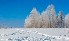 江西冬至吃啥 古人对冬至的说法