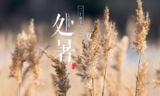 天津处暑吃什么 天津处暑的饮食习俗