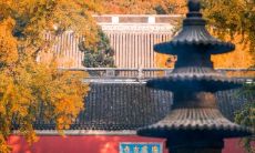 福建秋分吃什么 闽南秋分的饮食习俗