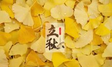 商洛立秋吃饺子吗 立秋的传统习俗活动