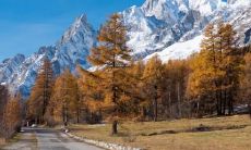 贵州立秋吃什么 贵州立秋的风俗活动