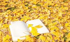 扬州立秋吃什么 扬州立秋的饮食习俗