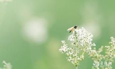 怎么能提升自己的运气 五大好妙招