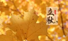 贵阳立秋风俗有哪些 立秋早晚有什么说法