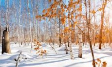 广东谷雨节气这吃天什么传统美食 要注意啥